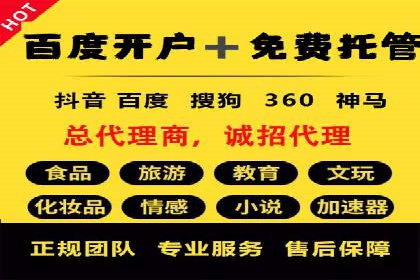 某公司SEM优化成功案例：从零到一的流量增长